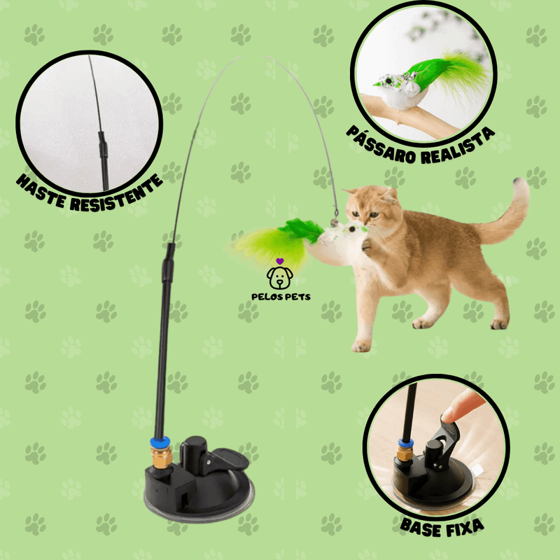 Bird Hunting Rod for Cats