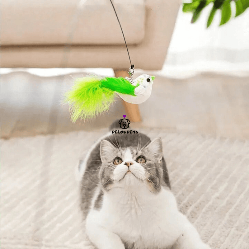 Bird Hunting Rod for Cats