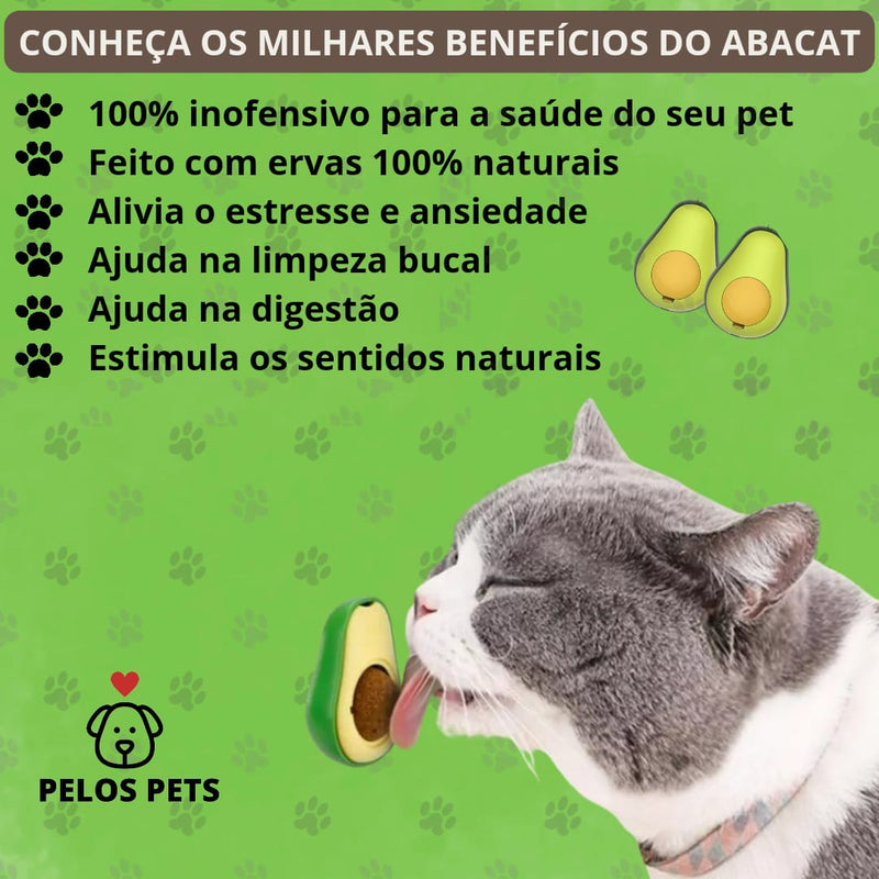 AbaCat Dançante com Catnip