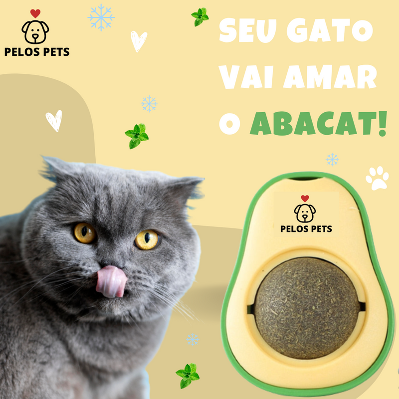 AbaCat - PROMOTION! 