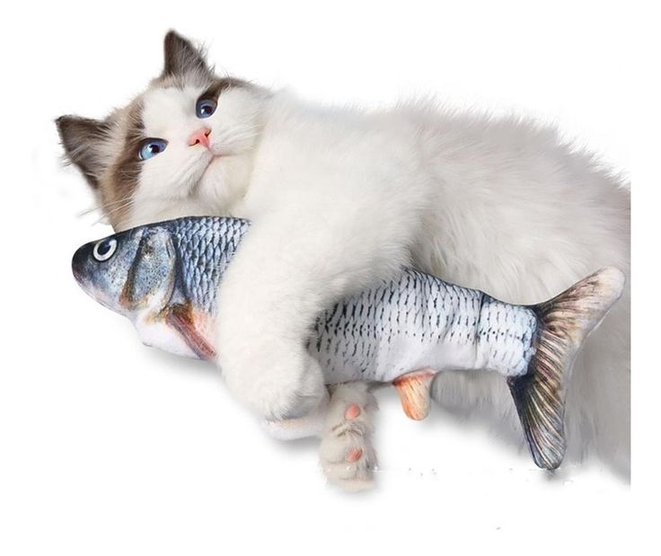 The FISH® - Cats' Favorite Toy