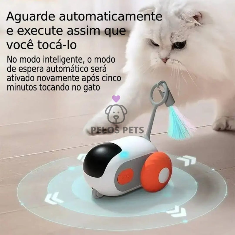 Cat Robot