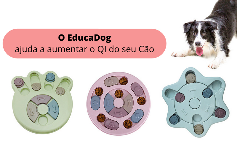 Brinquedo Educativo EDUCADOG Quebra-cabeça e Alimentador Lento