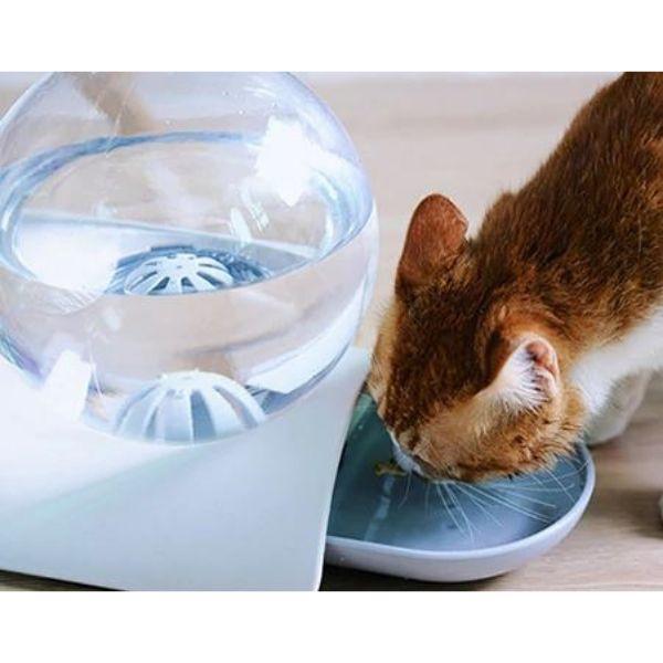 Pelos Pets® Aquarium Drinking Fountain 