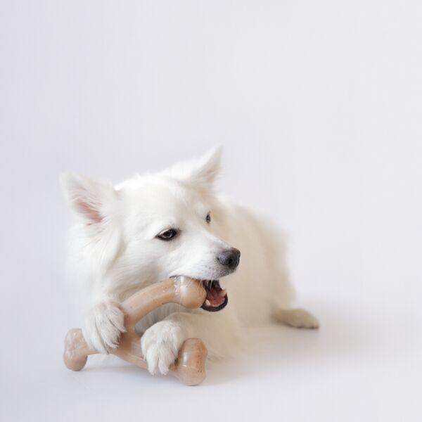 Benebone Toy - WishBone &amp; Dental Chew BACON