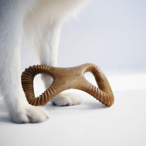 Benebone Toy - WishBone &amp; Dental Chew BACON