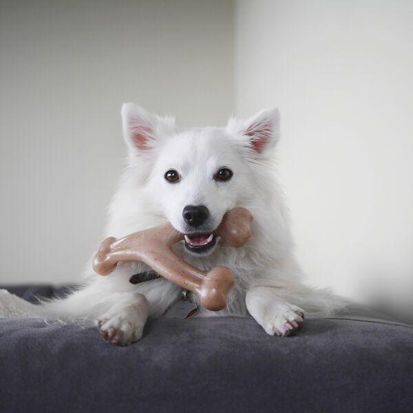 Benebone Toy - WishBone &amp; Dental Chew BACON