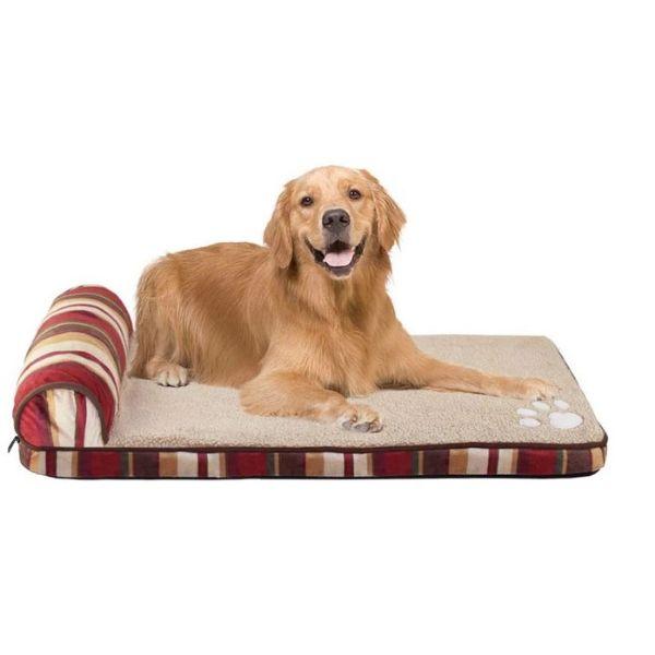 Teddy Orthopedic Dog Bed 