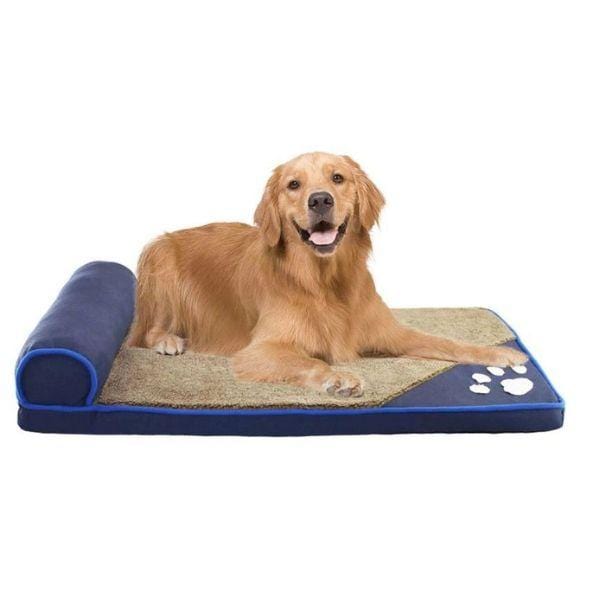 Teddy Orthopedic Dog Bed 