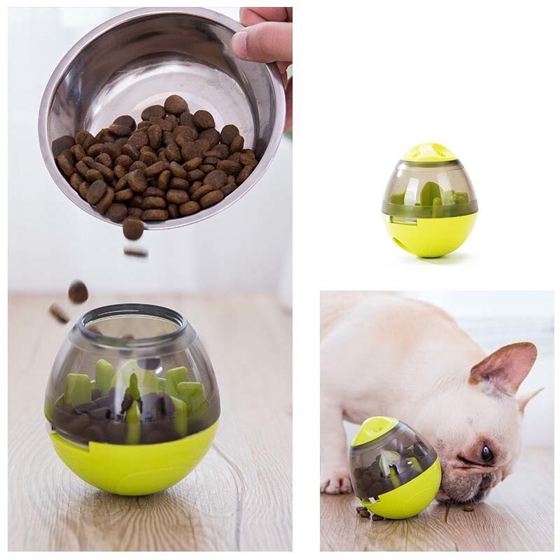 CRAZY LOOP Interactive Feeder for Dogs and Cats 