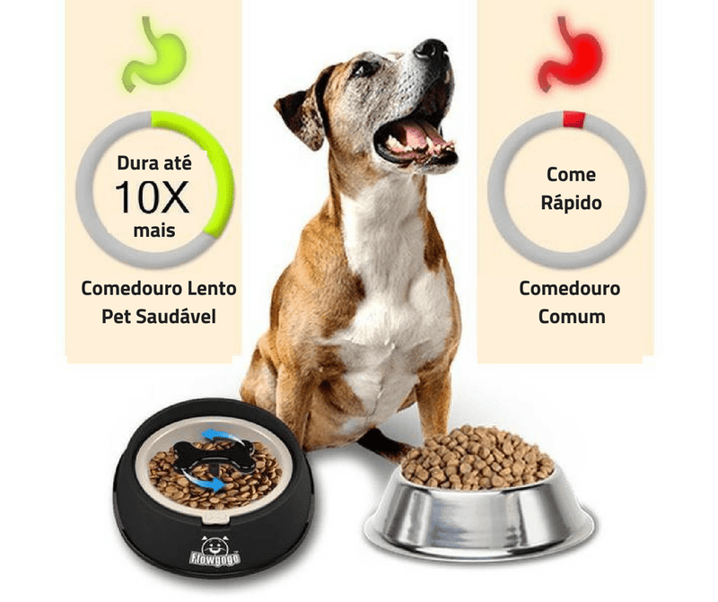 Healthy Pet Slow Feeder 