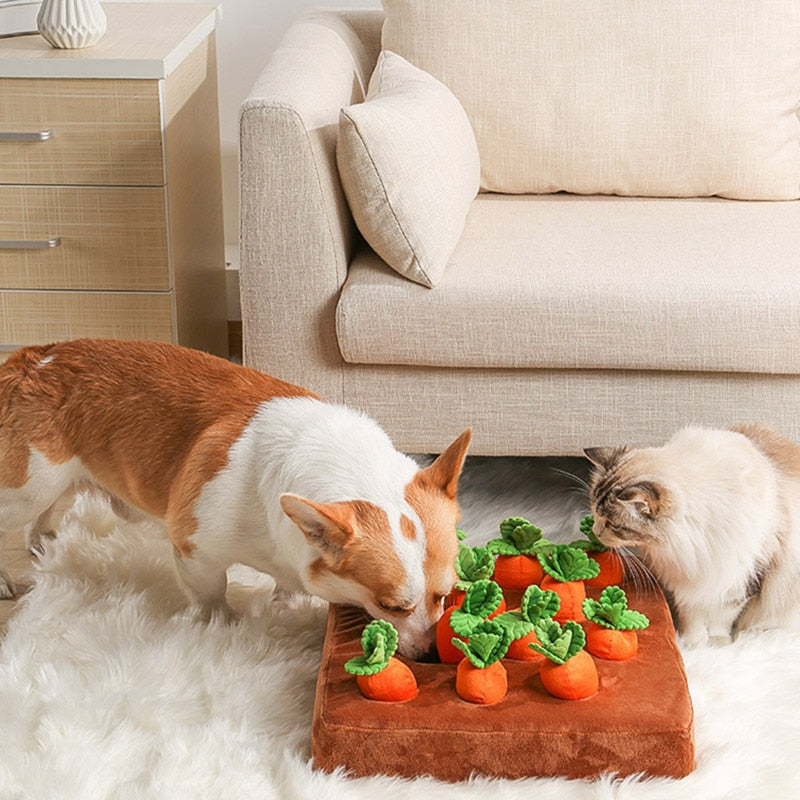 Pet Carrot Toy™ 