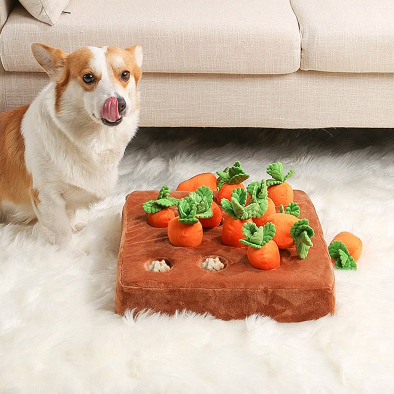 Pet Carrot Toy™ 