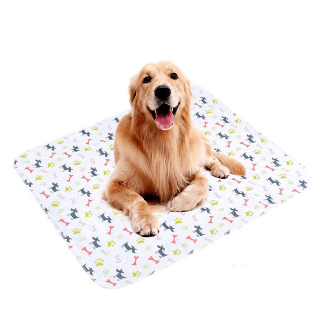 Doggie Washable Hygienic Mat 