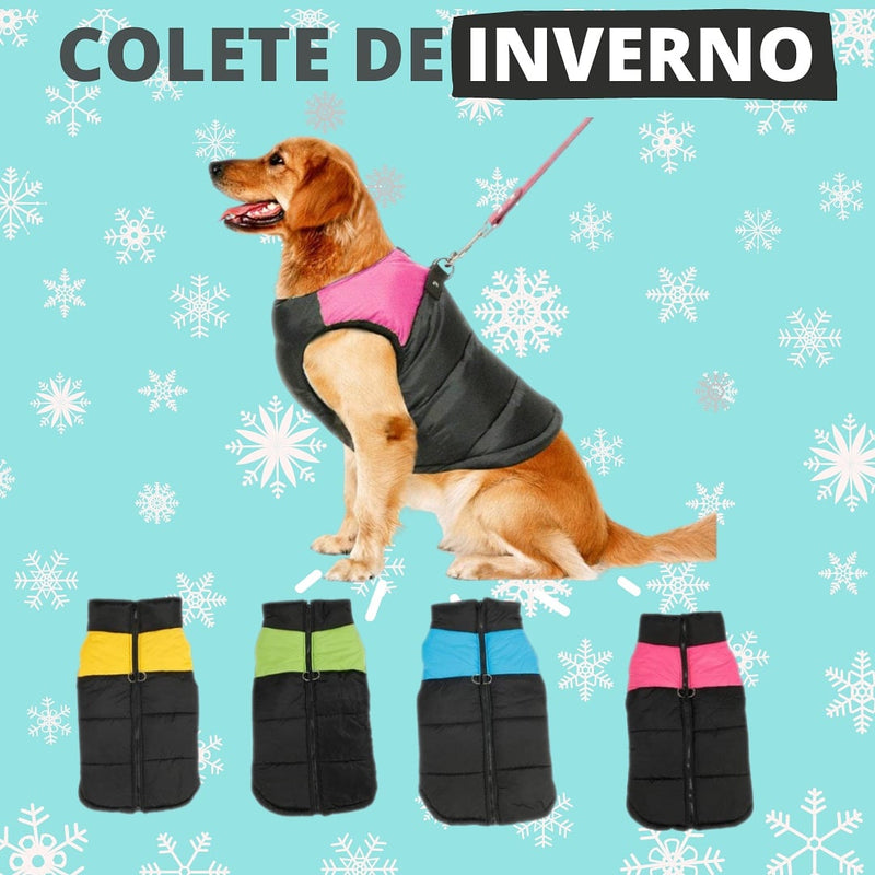 Colete de Inverno para Cachorros | Hamburg