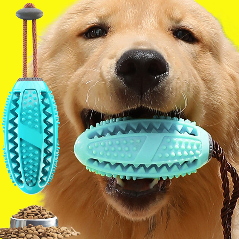 BILLY BALL Interactive Multifunctional Toothbrush for Dogs