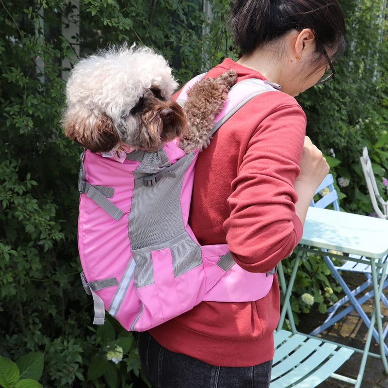 Mochila ajustável para Transporte de Cães CARRYPET