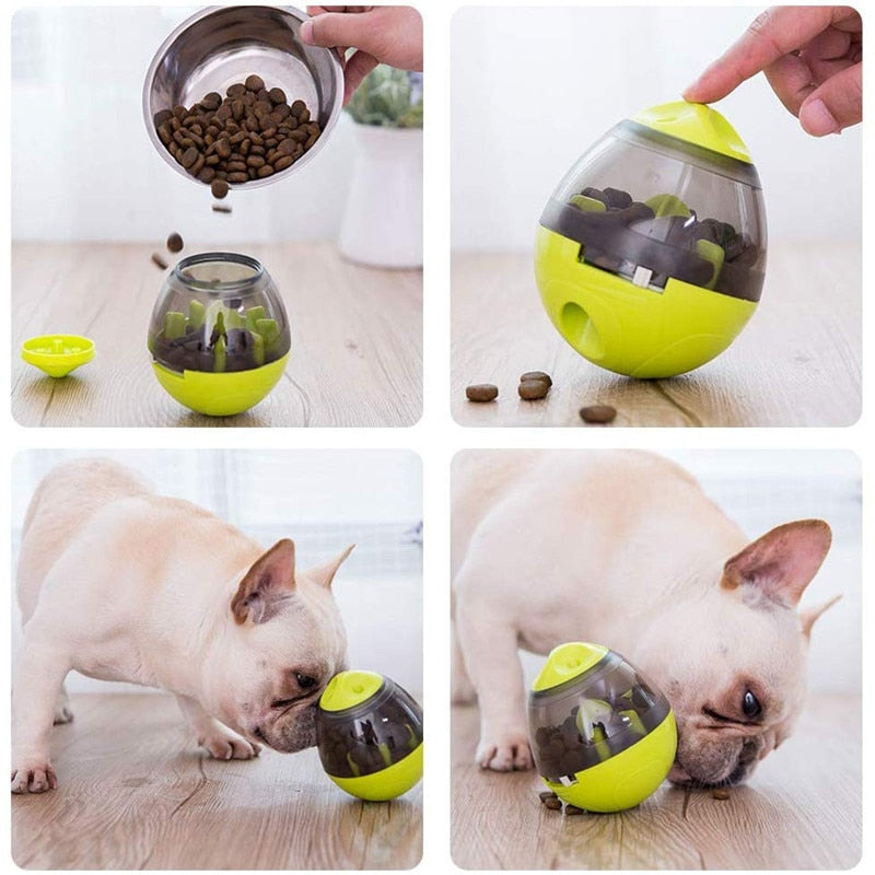 CRAZY LOOP Interactive Feeder for Dogs and Cats 