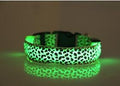 Coleira  Leopardo LED