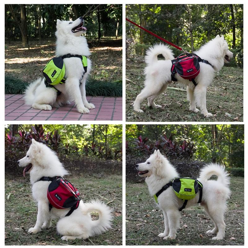 Hiking Backpack for Dogs 