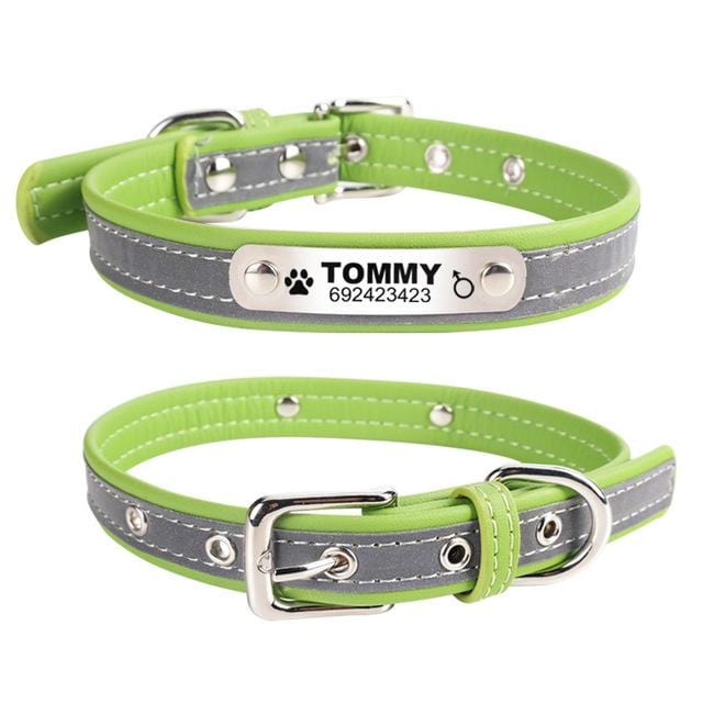 Customizable Collar with Reflective Strip 