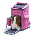 Chelsea Pet Backpack 