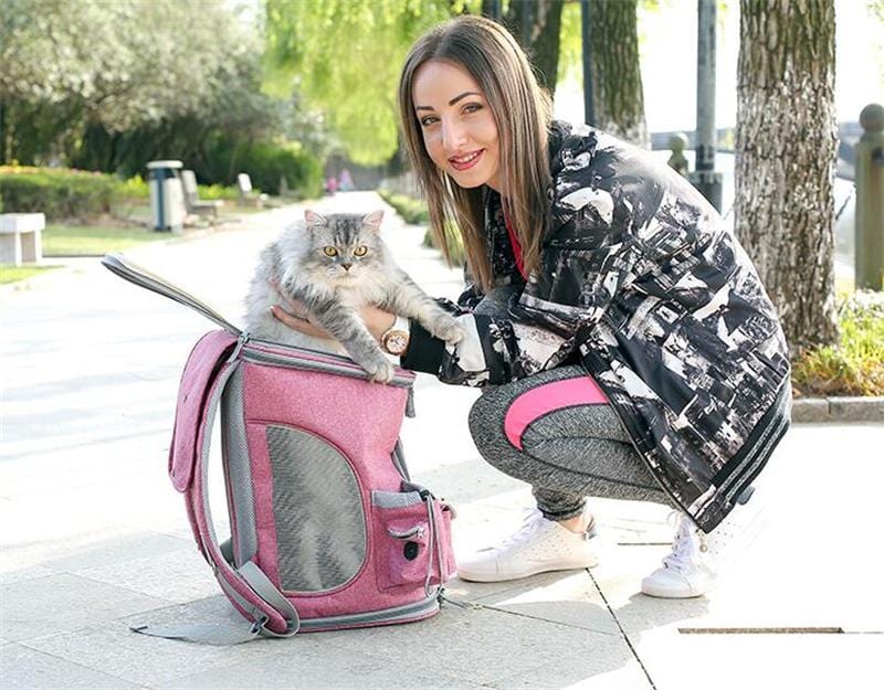 Chelsea Pet Backpack 