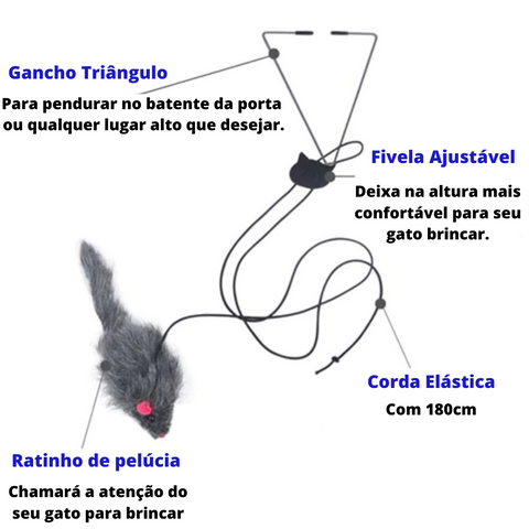 Os brinquedos que deixam seu gato mais ativo